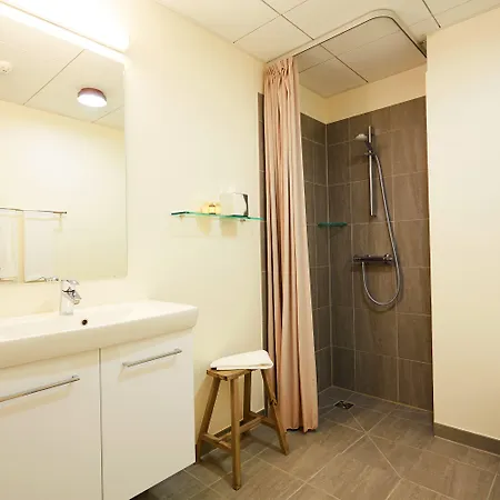 酒店 维杰尔福德会议酒店 4*