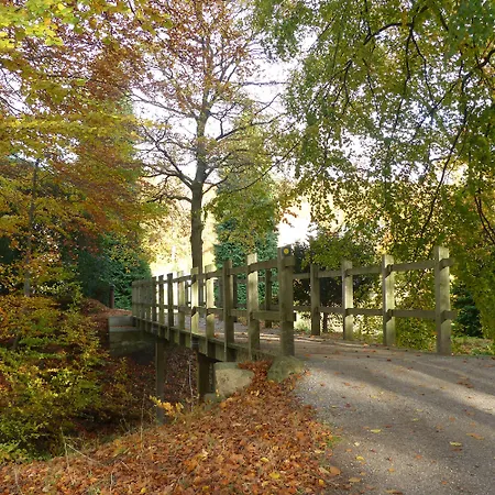 酒店 维杰尔福德会议酒店 4*