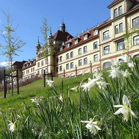 维杰尔福德会议酒店 4*