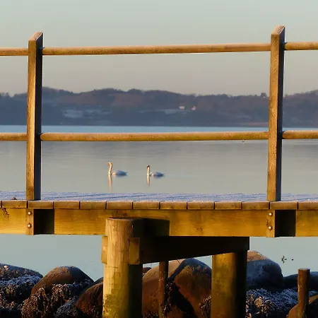 酒店 维杰尔福德会议酒店