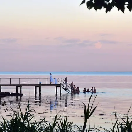 酒店 维杰尔福德会议酒店 4*