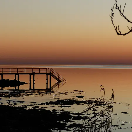 酒店 维杰尔福德会议酒店 Stouby