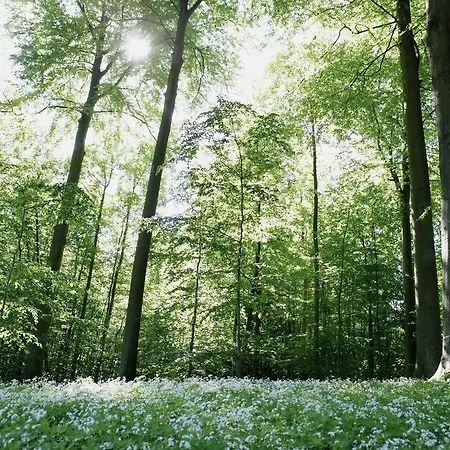 Vejlefjord Szálloda